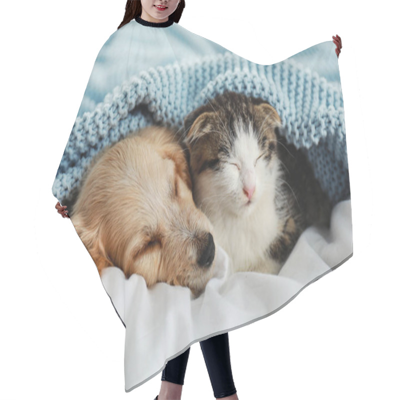 Personality  Adorable Little Kitten And Puppy Sleeping On Bed Hair Cutting Cape