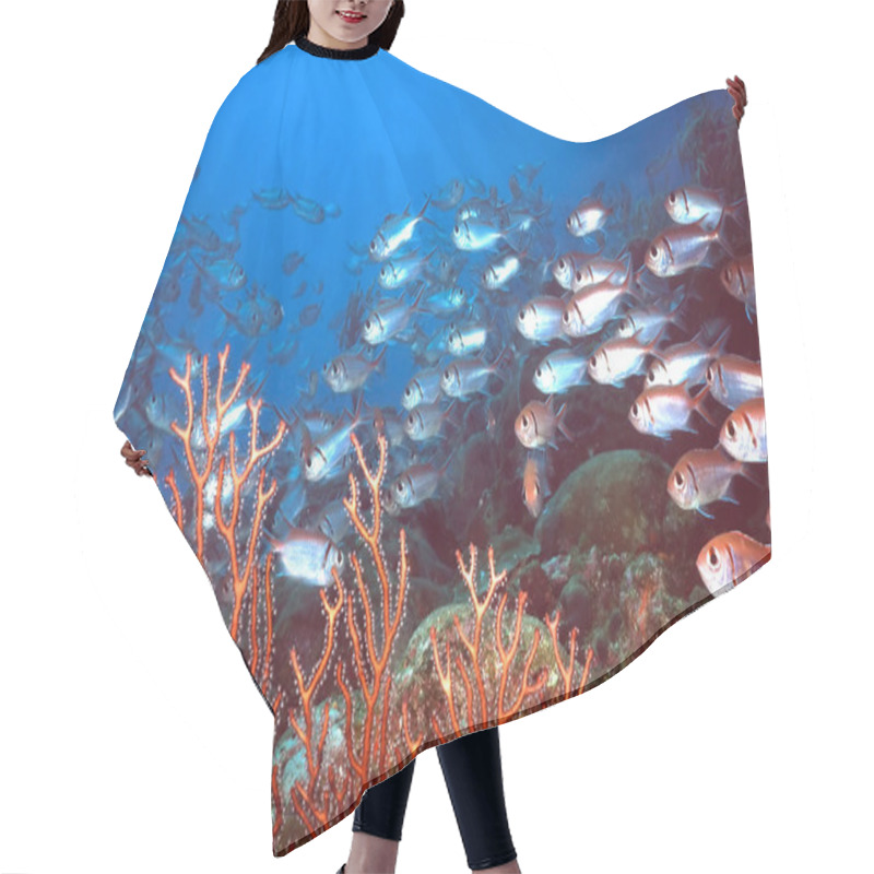 Personality  Squirell Reef Hair Cutting Cape