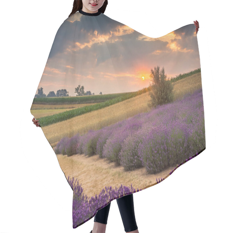 Personality  Sunrise Over The Lavender Field In Ostrow Near Cracow, Malopolskie, Poland Hair Cutting Cape