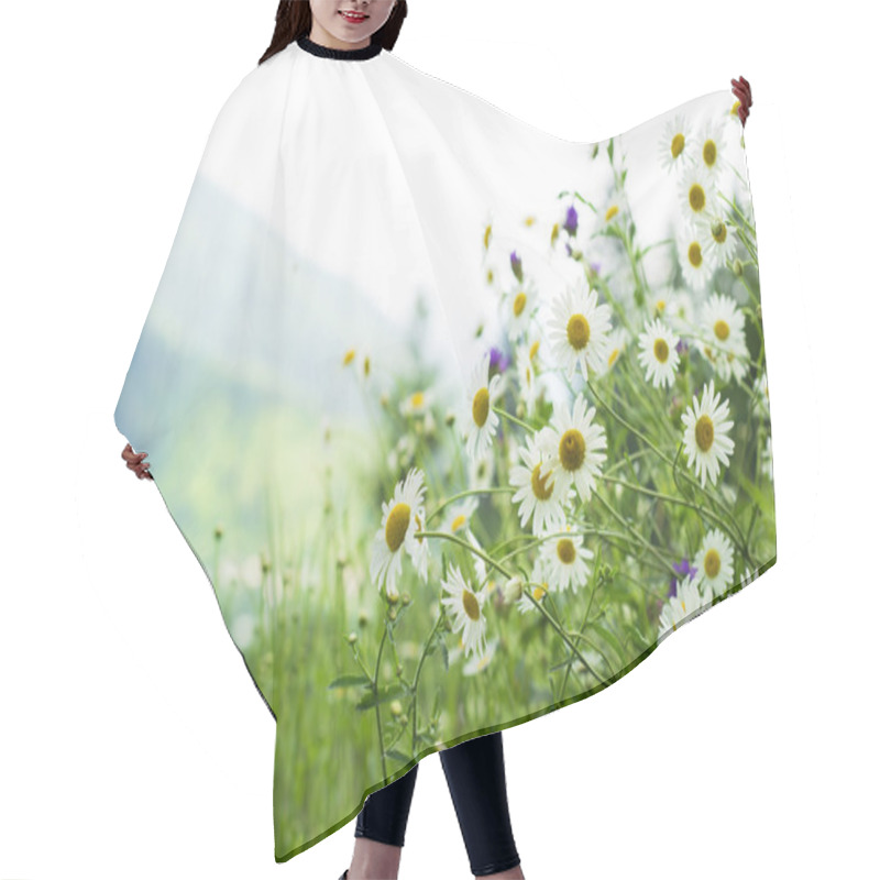 Personality  Field Of Daisies In The Mountains Hair Cutting Cape