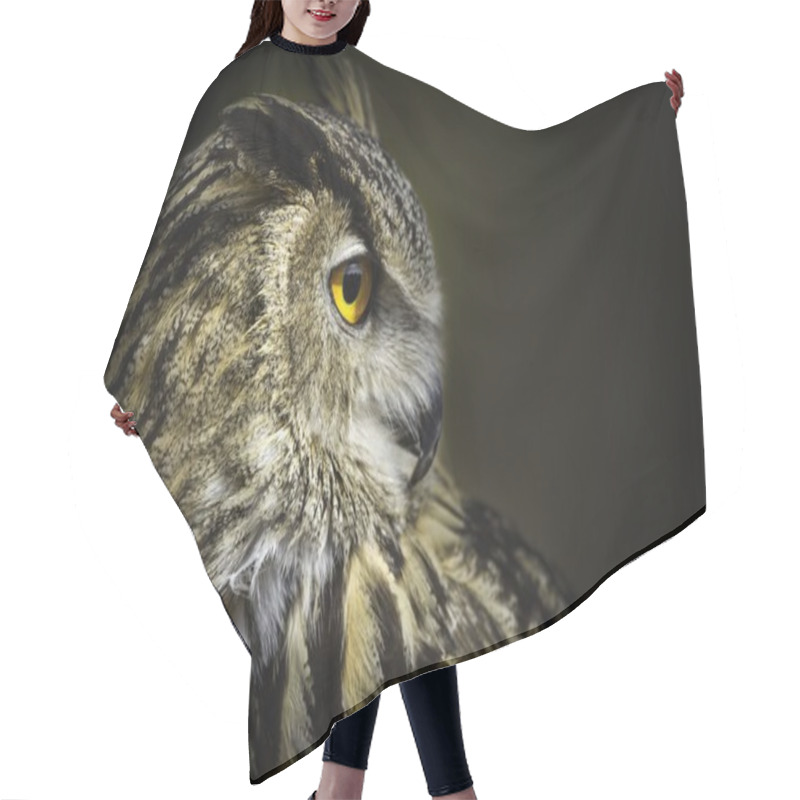 Personality  Royal Owl Hair Cutting Cape