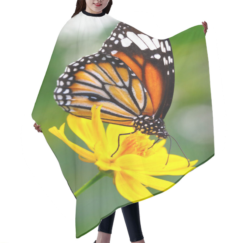 Personality  Butterfly Hair Cutting Cape