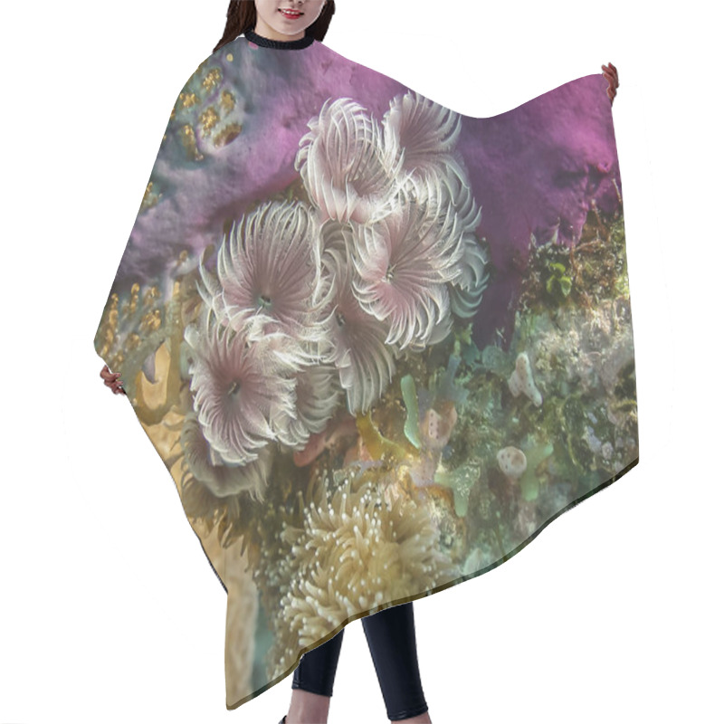 Personality  Coral Reef In Carbiiean Sea Hair Cutting Cape