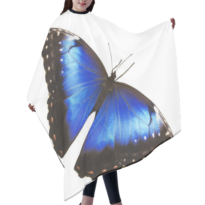 Personality  Bright Blue Morpho Butterfly Isolated On White Background With Spread Wings Hair Cutting Cape