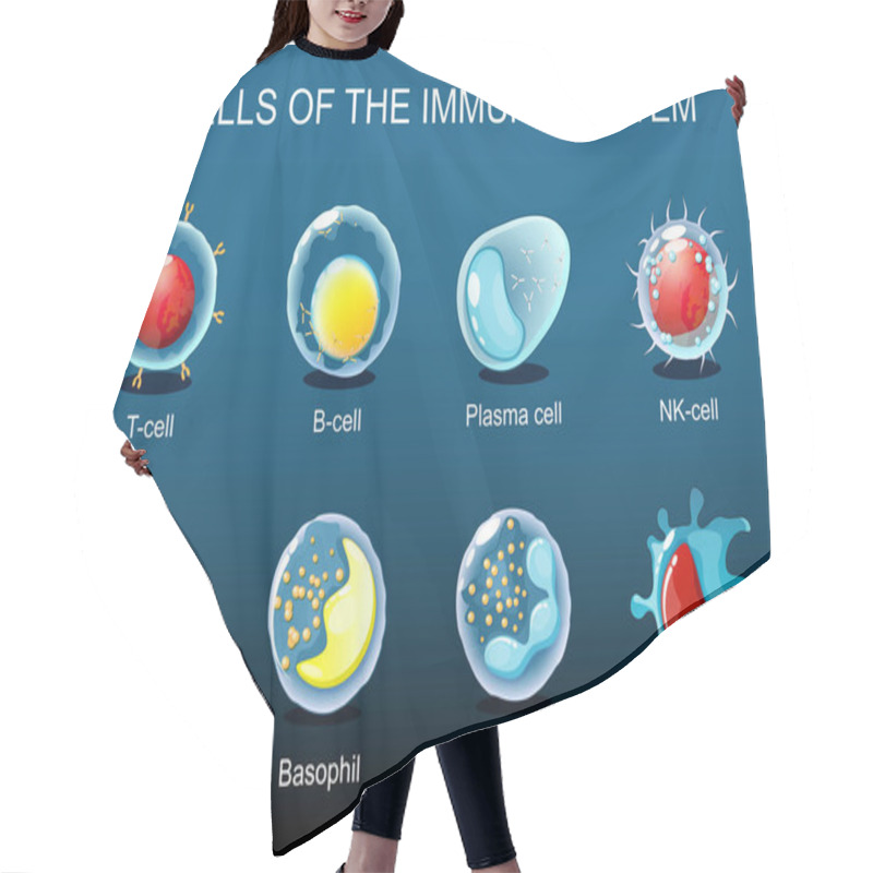 Personality  Cells Of The Immune System. White Blood Cells Or Leukocytes Plasma Cell, Eosinophil, Neutrophil, Basophil, Macrophage, T-cell, NK-cell, B-cell. Isometric Flat Vector Illustration Hair Cutting Cape