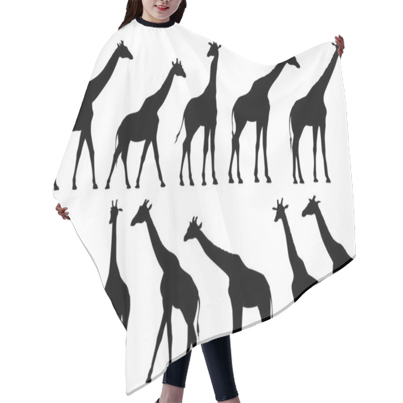 Personality  Set Vector Silhouettes Of Giraffes. Hair Cutting Cape