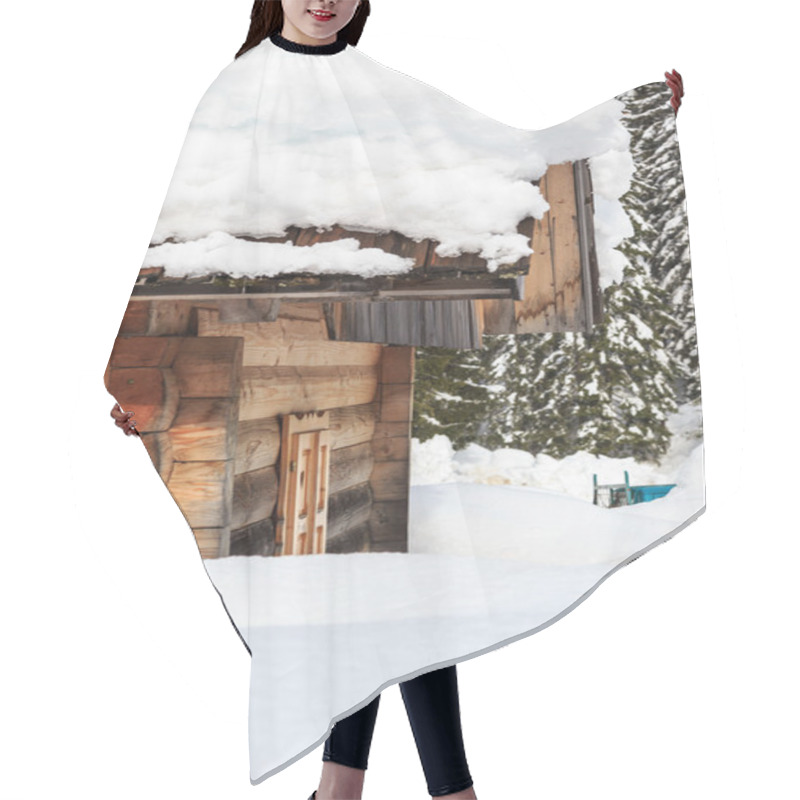 Personality  Winter Forest In Alps Hair Cutting Cape