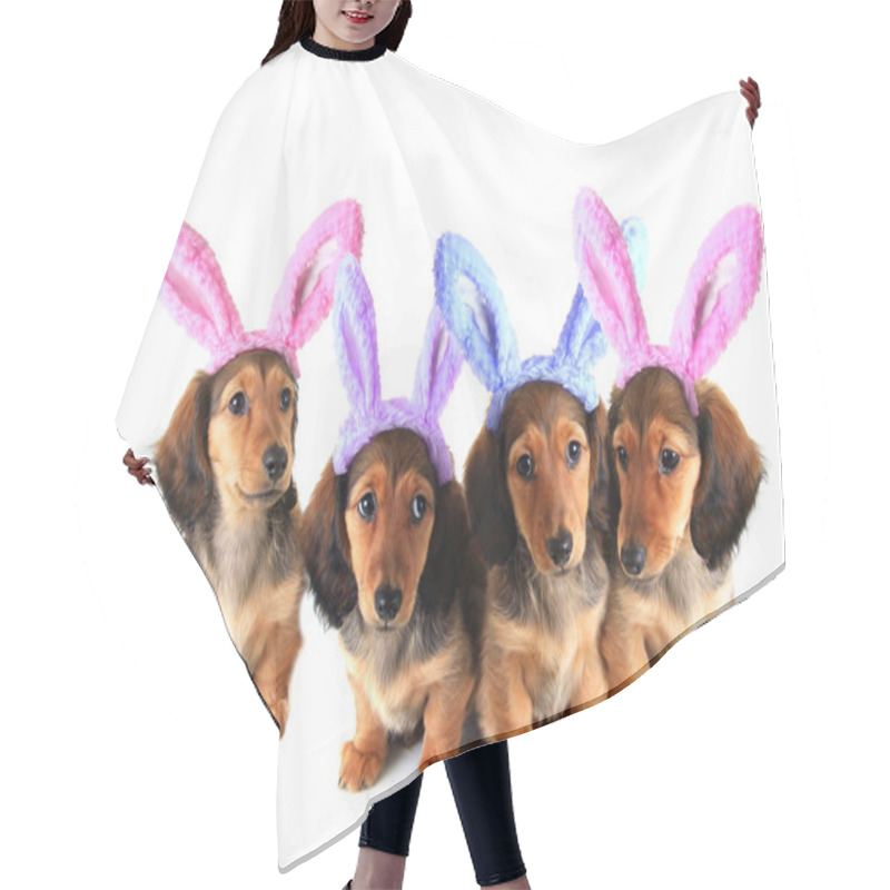 Personality  Easter Bunny Dachshund Puppies Hair Cutting Cape