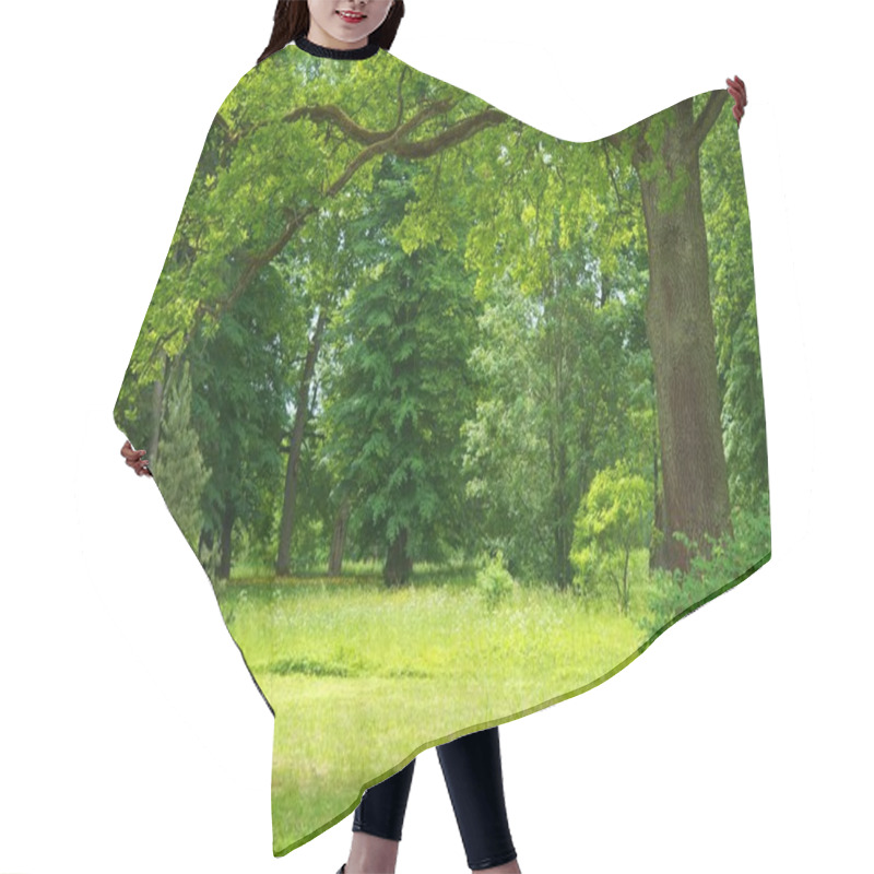 Personality  Beautiful Forest Landscape Hair Cutting Cape