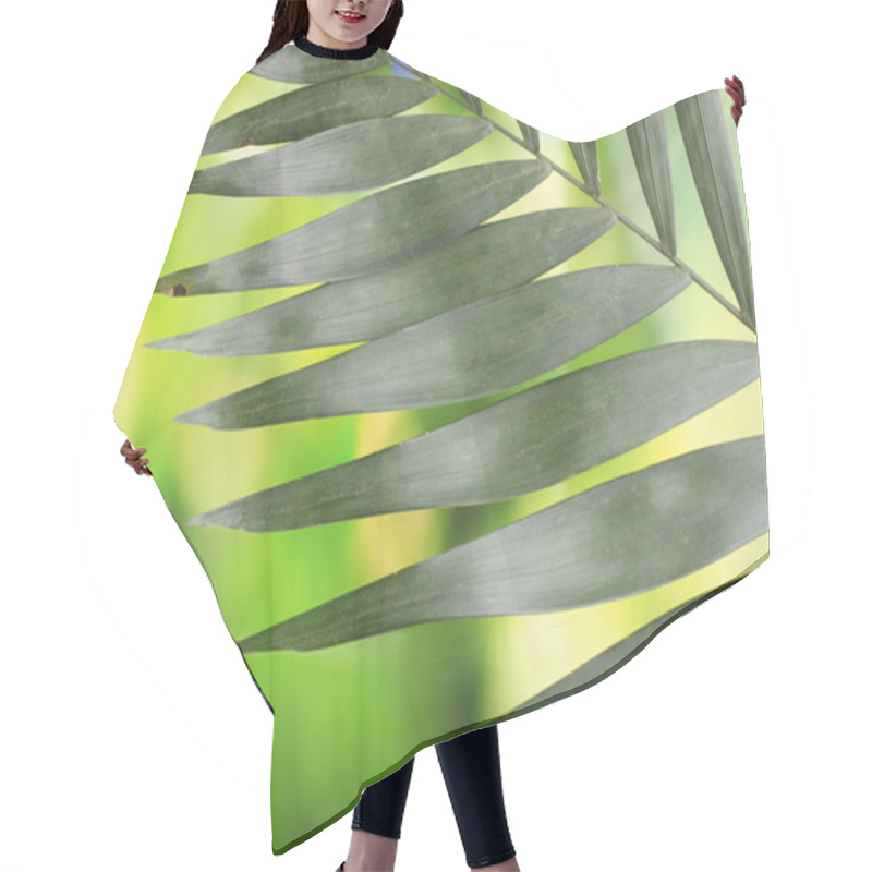 Personality  Beautiful Palm Leaf On Green Background Hair Cutting Cape