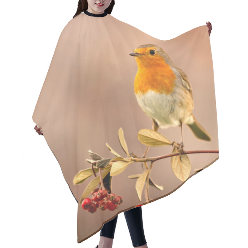 Personality  Pretty Bird With A Nice Orange Red Plumage On A Branch Full Of Red Berries Hair Cutting Cape