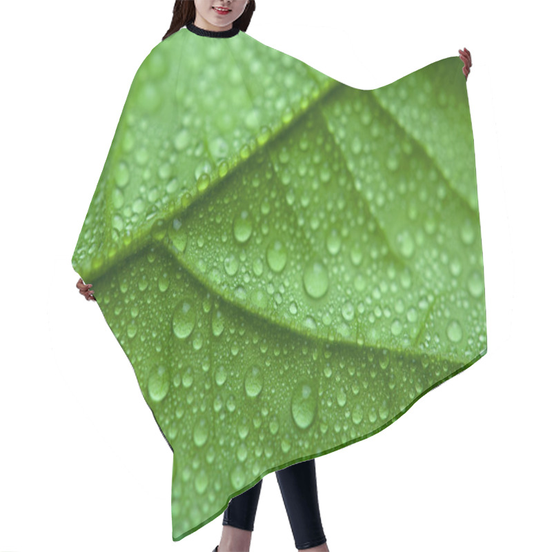 Personality  Fresh Green Leaf With Water Drops Hair Cutting Cape