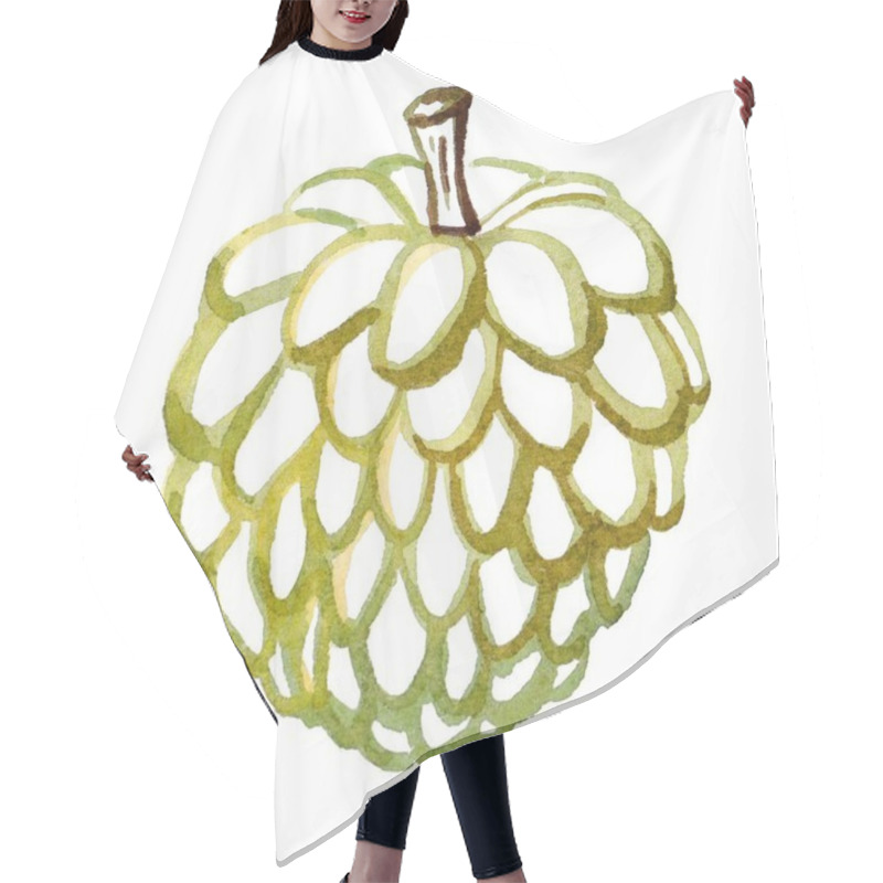 Personality  Handcrafted Vibrant Illustration Of A Custard Apple With Detailed Contours. For Food Packaging, Botanical Prints, And Educational Materials, Adding A Tropical Touch To Various Creative Projects. Hair Cutting Cape