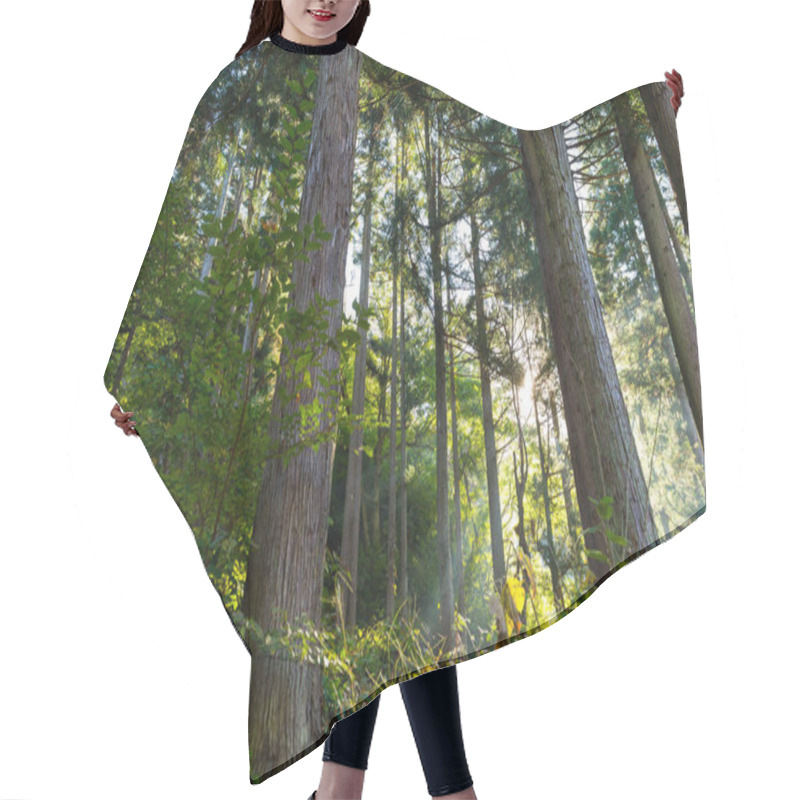 Personality  Green Tropical Forest In Japan Hair Cutting Cape