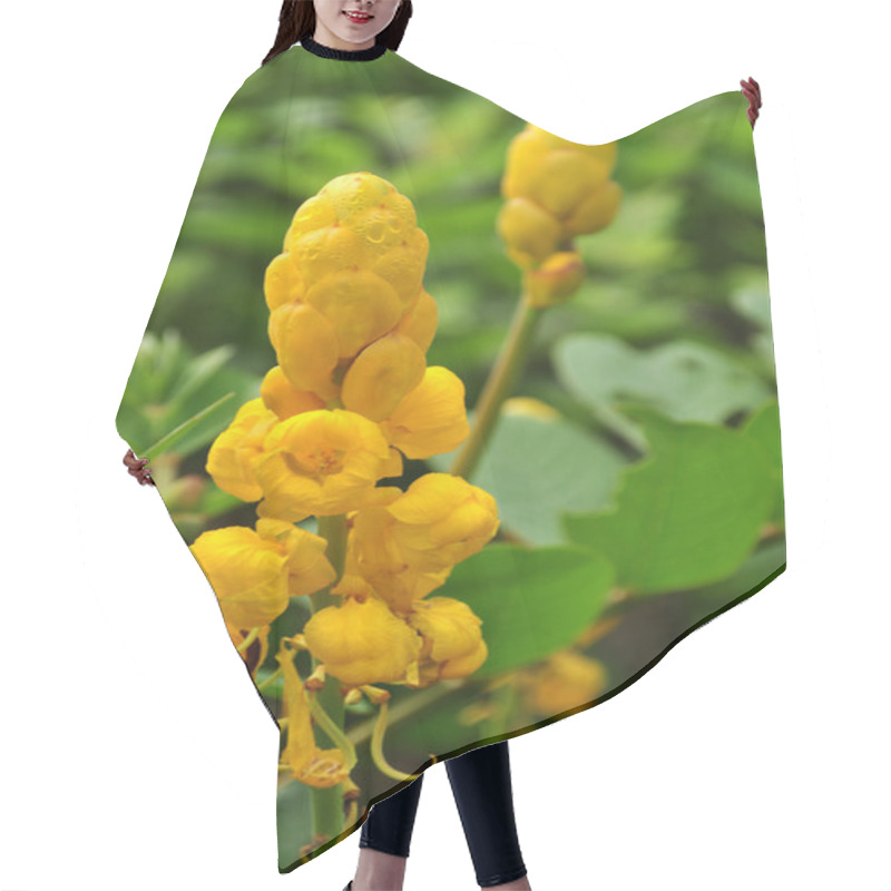 Personality  Candle Bush Flowers With Green Background Hair Cutting Cape