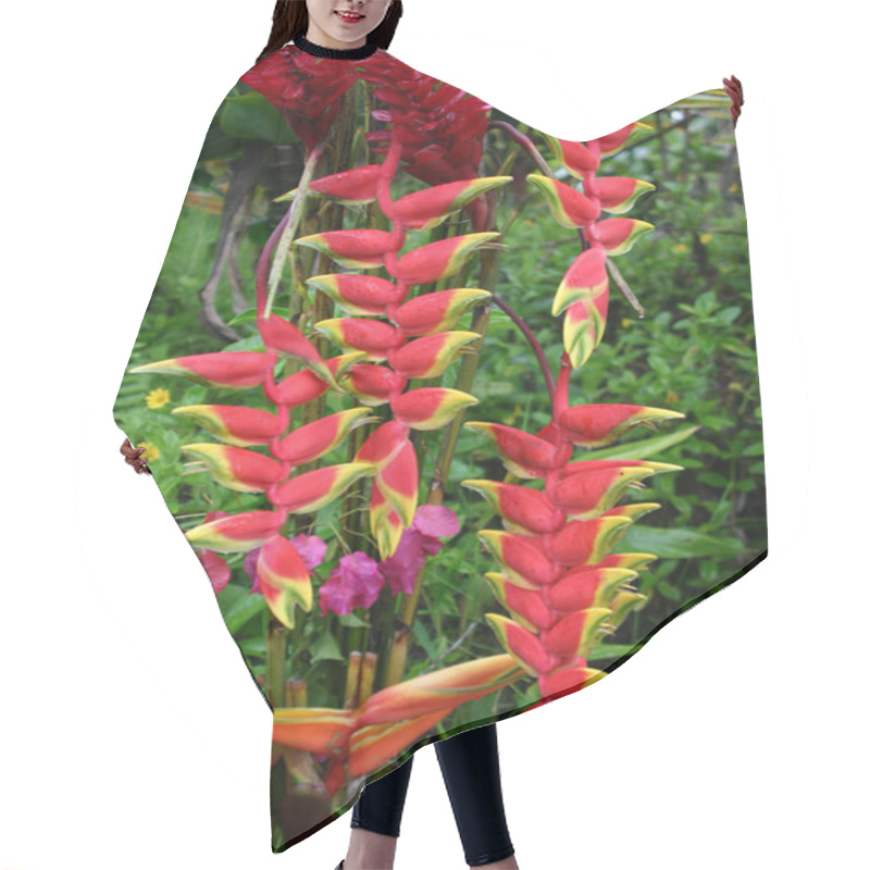 Personality  Heliconia Flower Cluster Hair Cutting Cape