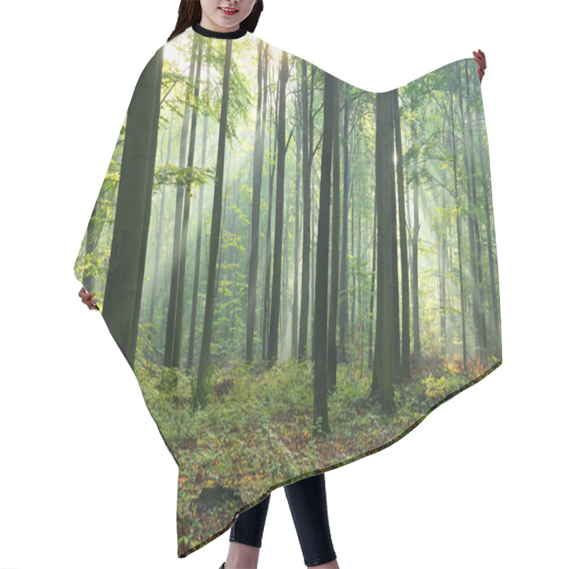 Personality  Beautiful Morning Sunbeams In Misty Forest Hair Cutting Cape