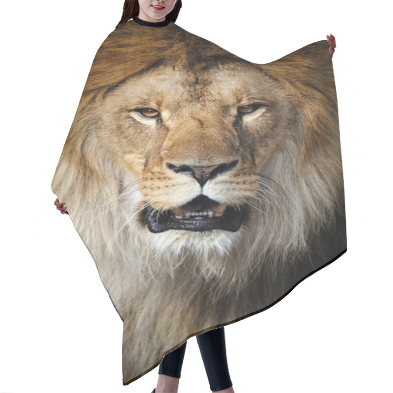 Personality  Lion Hair Cutting Cape