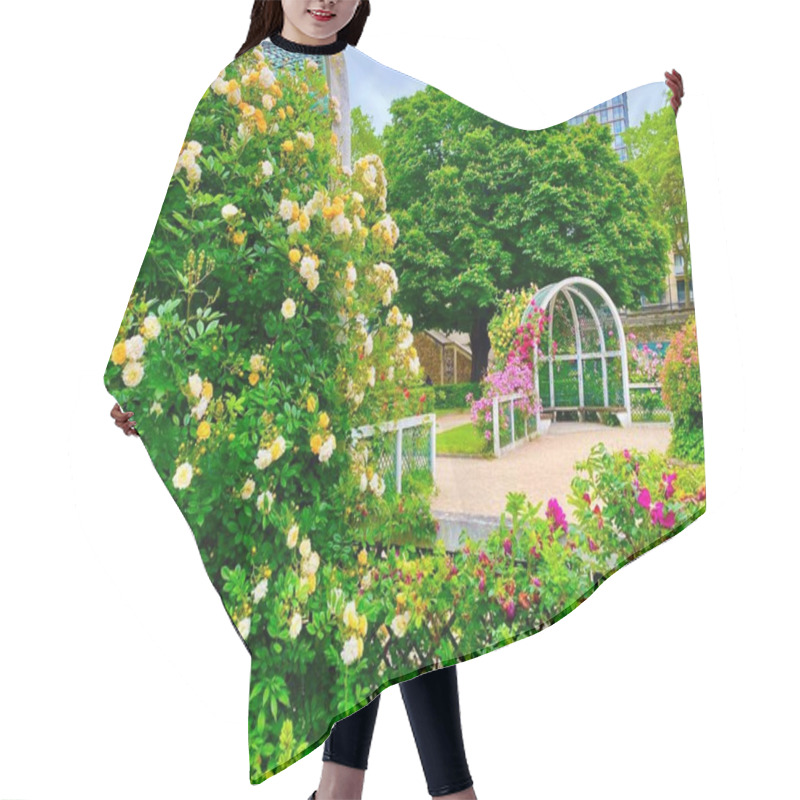 Personality  Beautiful Rose Garden In A Small Park Of Square Rene Le Gall In Paris Hair Cutting Cape