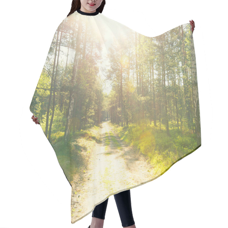 Personality  Four Season In Forest Hair Cutting Cape