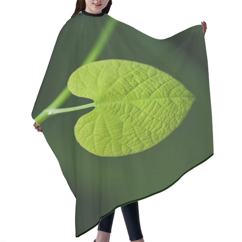 Personality  Green Plant Leaf In Form Of A Heart Hair Cutting Cape