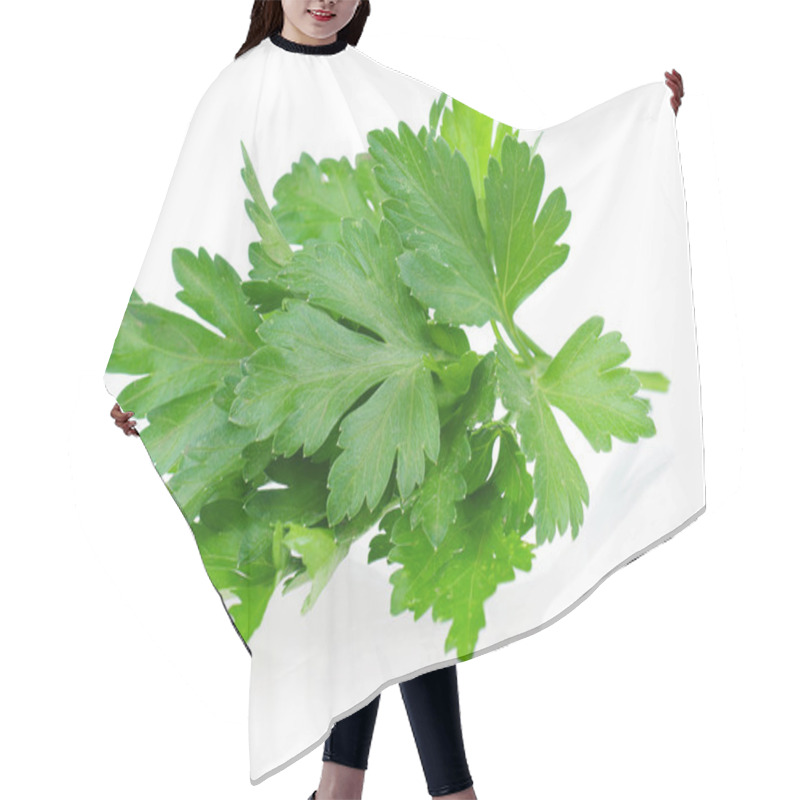 Personality  Fresh Parsley Hair Cutting Cape