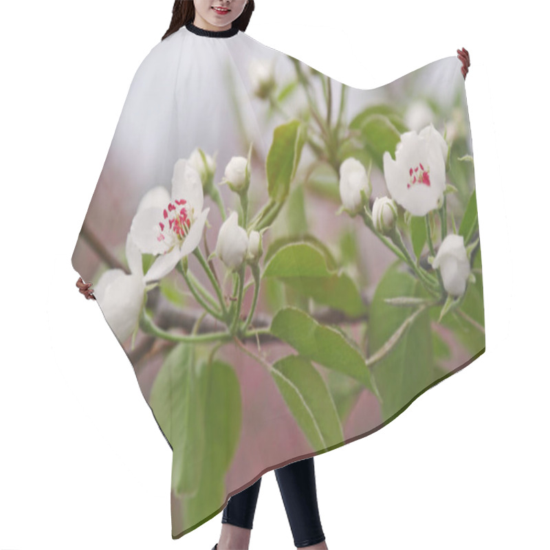 Personality  Blossoming Twig Of Fruit Tree  Hair Cutting Cape