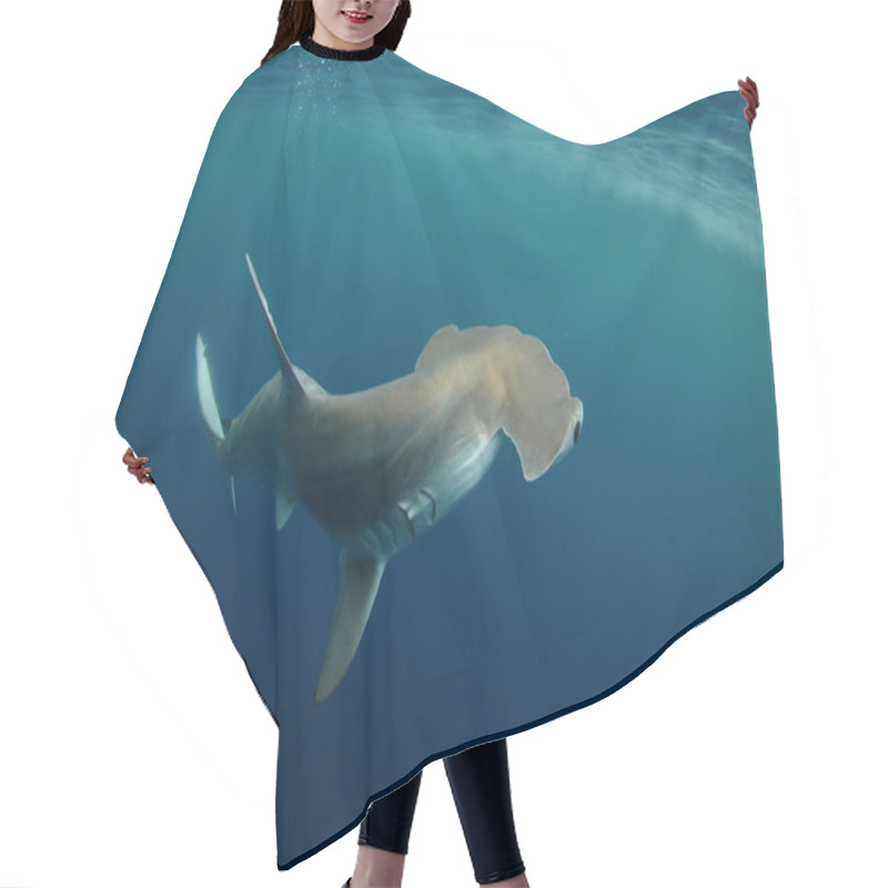 Personality  Hammerhead Shark Hair Cutting Cape