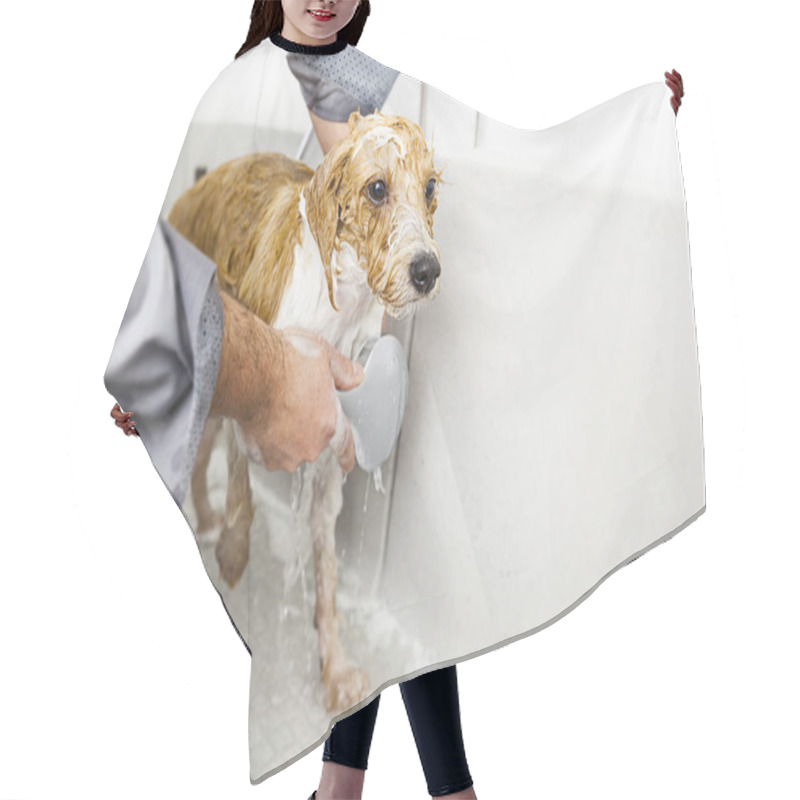 Personality  Man Bathing Cute Dog Hair Cutting Cape