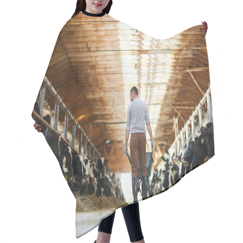 Personality  Back View Portrait Of Modern Man Working At Farm In Sunlit Cow Shed, Copy Space Hair Cutting Cape