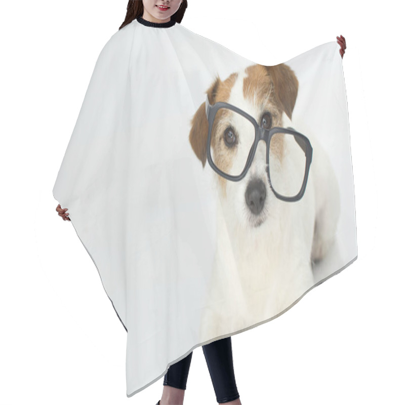 Personality  FUNNY AND INTELLECTUAL JACK RUSSELL DOG WEARING GLASSES ISOLATED ON WHITE BACKGROUND Hair Cutting Cape