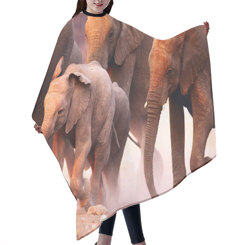 Personality  Elephants Herd Running Hair Cutting Cape