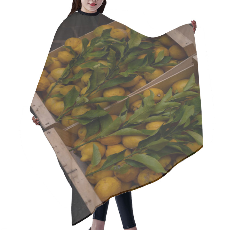 Personality  Lemons With Leaves In A Box Hair Cutting Cape