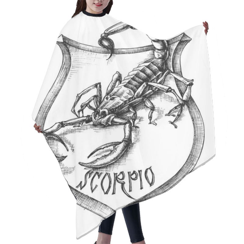 Personality  Scorpion Heraldry Scorpio Zodiacal Sign Hair Cutting Cape