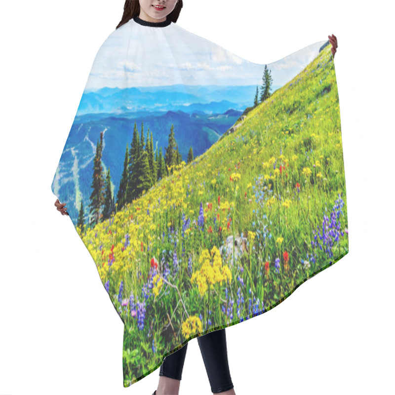 Personality  Hiking Through The Alpine Meadows Filled With Abundant Wildflowers. On Tod Mountain At The Alpine Village Of Sun Peaks In The Shuswap Highlands Of The Okanagen Region In British Columbia, Canada Hair Cutting Cape