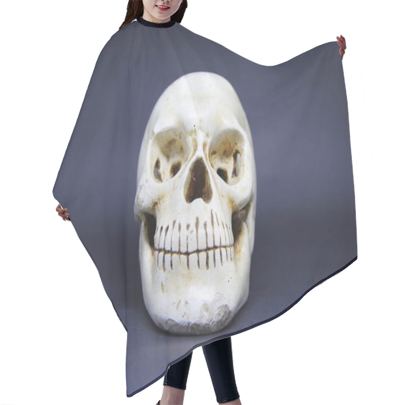 Personality  Closeup View Of A Skull On Dark Background  Hair Cutting Cape