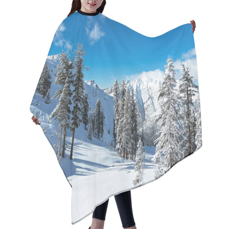 Personality  Beautiful Winter Landscape With Trees Covered In Snow, Winter Wonderland, Christmas Background Hair Cutting Cape