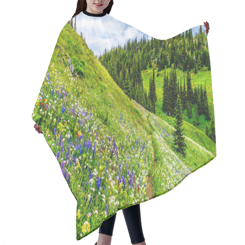 Personality  Hiking Through The Alpine Meadows Filled With Abundant Wildflowers. On Tod Mountain At The Alpine Village Of Sun Peaks In The Shuswap Highlands Of The Okanagen Region In British Columbia, Canada Hair Cutting Cape