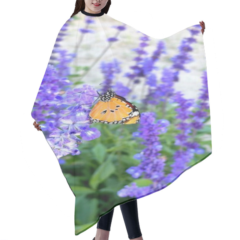 Personality  Vertical Screen: Lavender Blooms Cradle Butterfly Gracefully, Highlighting Thriving Ecosystem. Vibrant Lavender Petals And Butterfly Wings Reflect Harmony Within Flourishing Ecosystem Balance.  Hair Cutting Cape