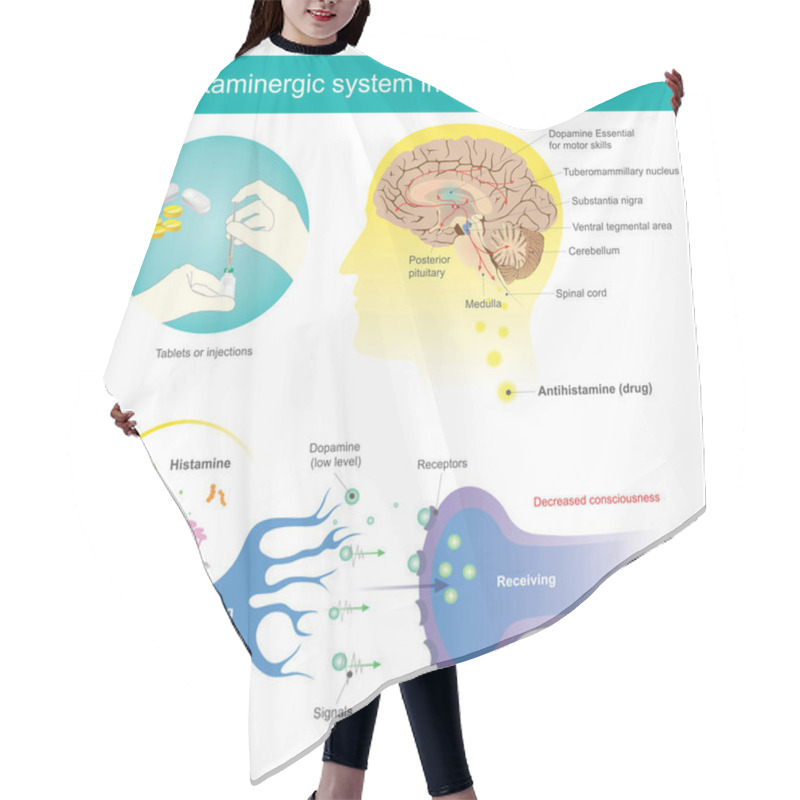 Personality  Histaminergic  System In The Human Brain. Histamine Illustration Hair Cutting Cape