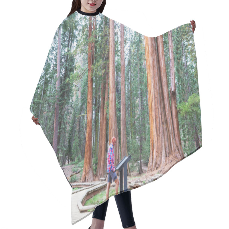 Personality  Sequoias Forest In Summer Season Hair Cutting Cape