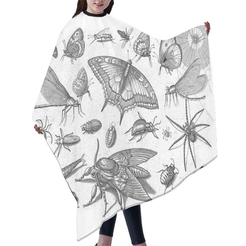 Personality  Different Insects With A Queen Page In The Middle. Hair Cutting Cape