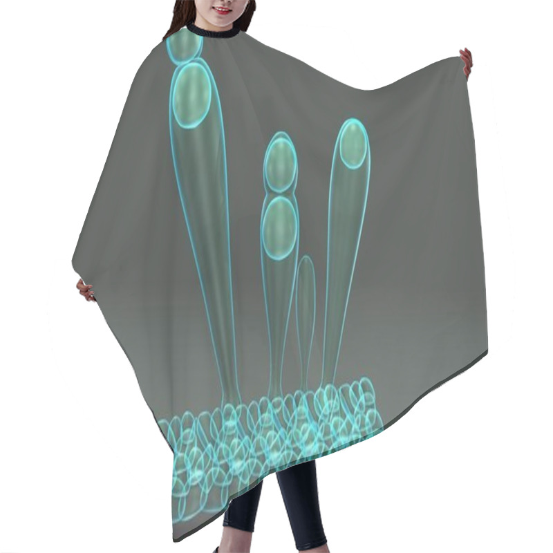 Personality  Exospores 3d Illustration Hair Cutting Cape