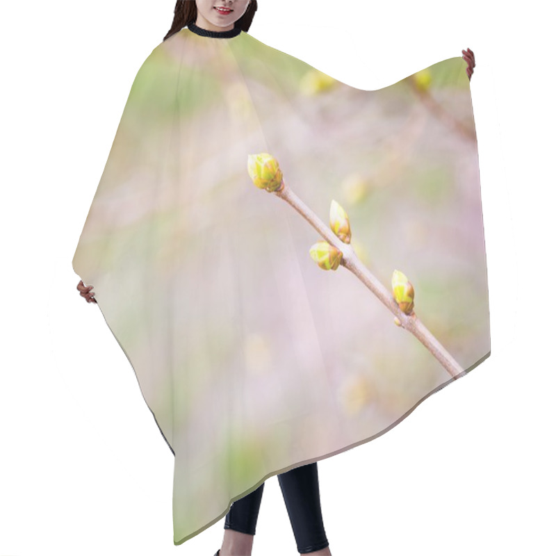 Personality  Lilac Leaves Buds Hair Cutting Cape