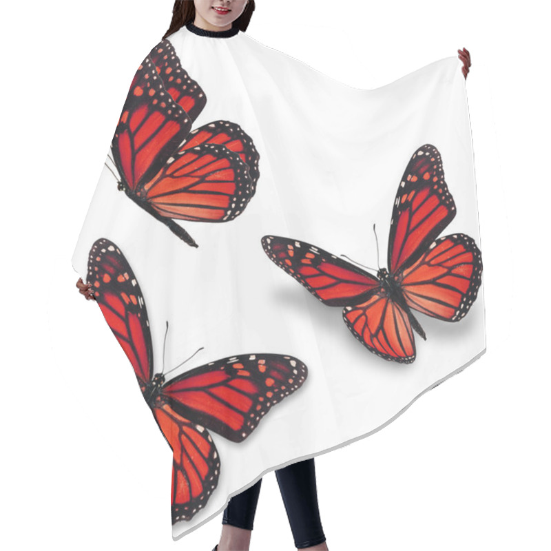 Personality  Red Monarch Butterfly Hair Cutting Cape