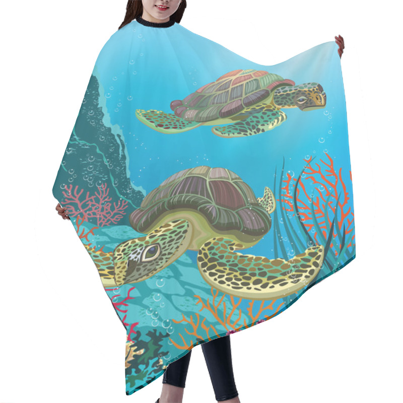 Personality  Sea Turtles Hair Cutting Cape