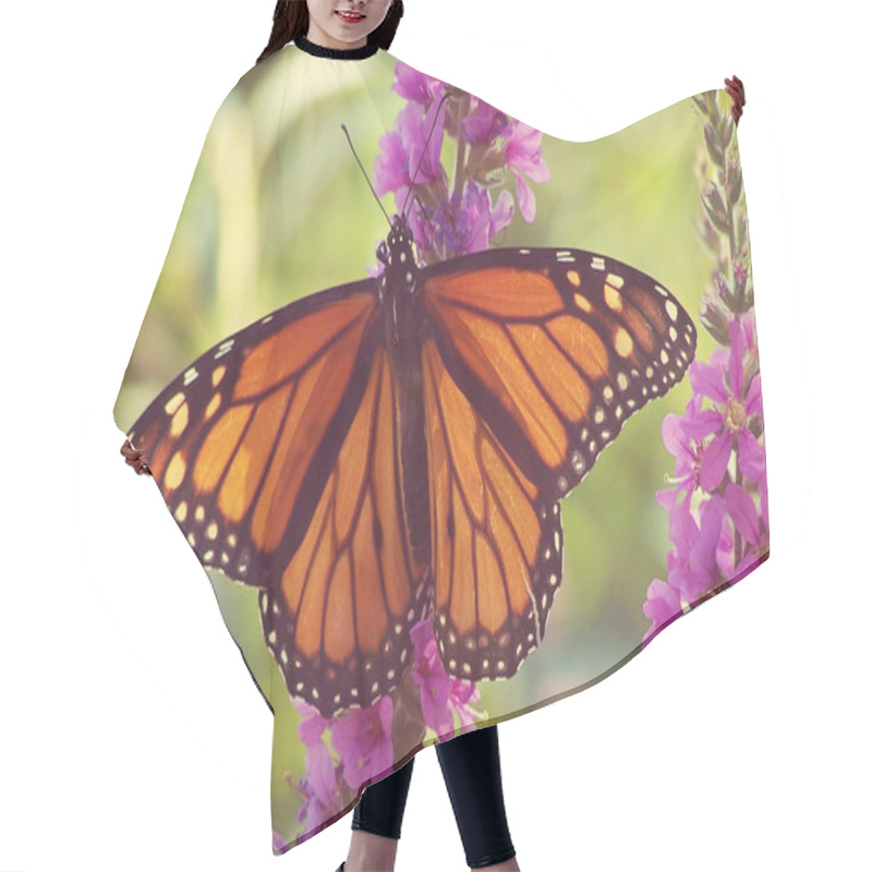 Personality  Monarch Butterfly On Purple Flowers Hair Cutting Cape