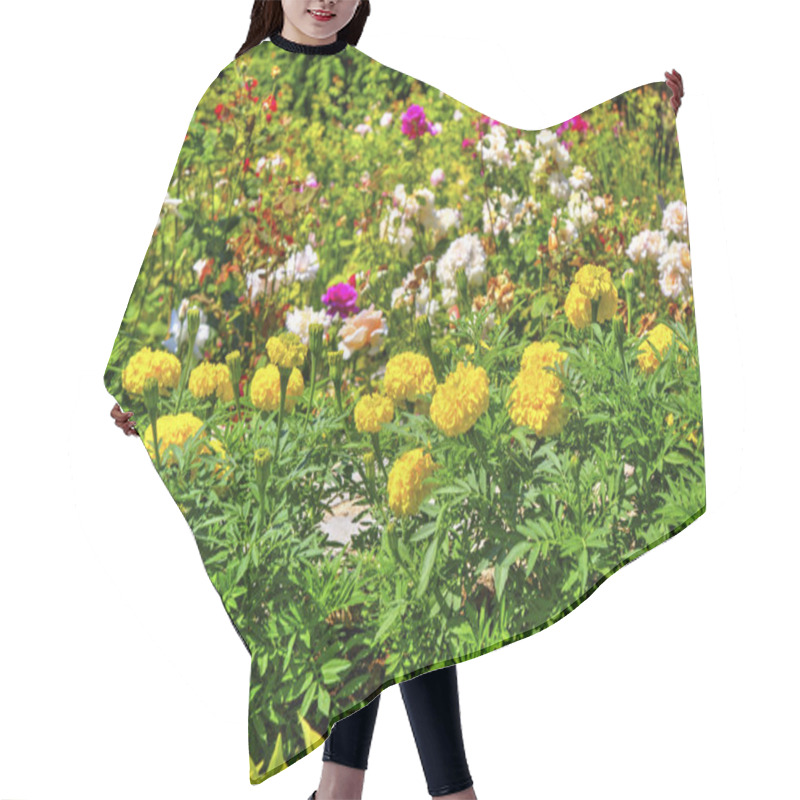 Personality  Beautiful View With Blooming Flowers In The Botanical Garden Hair Cutting Cape