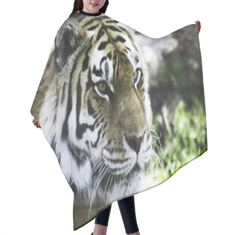 Personality  Siberian Tiger Hair Cutting Cape