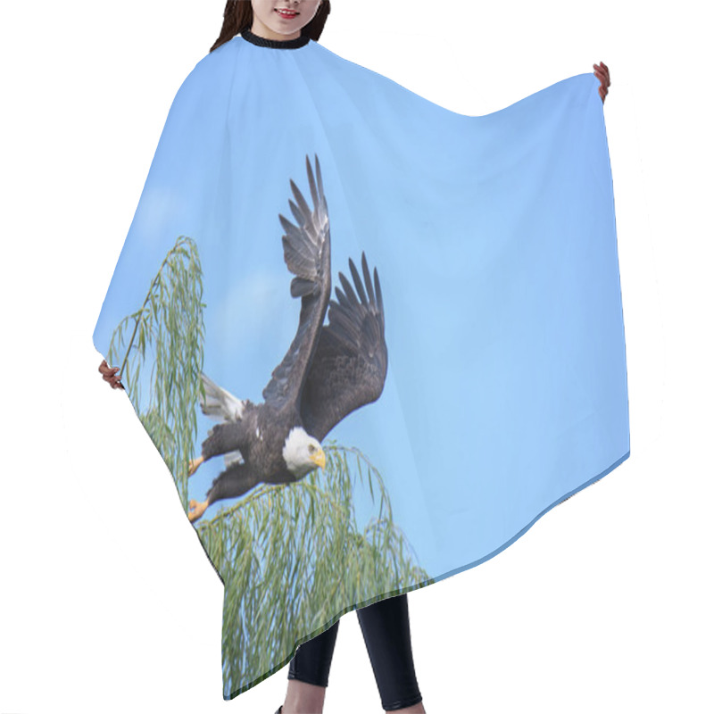 Personality  Eagle Taking Off And Flying Hair Cutting Cape